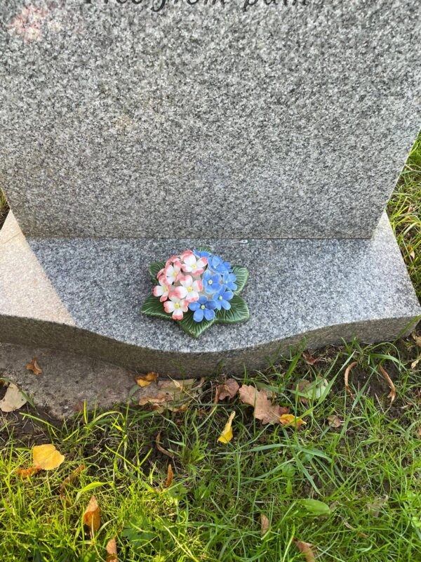 Ceramic Primrose / Forget Me Not Mix