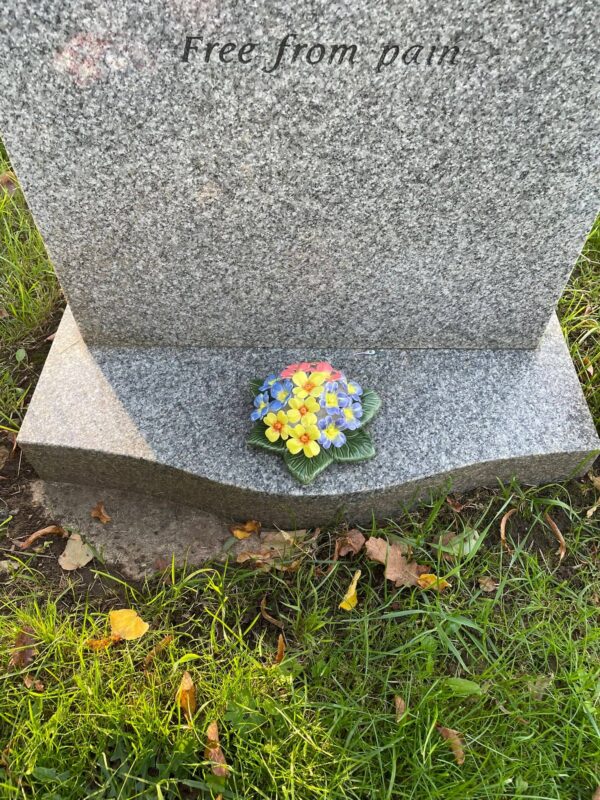 Polyanthus