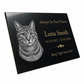 Cat Memorial Granite Photo Plaque
