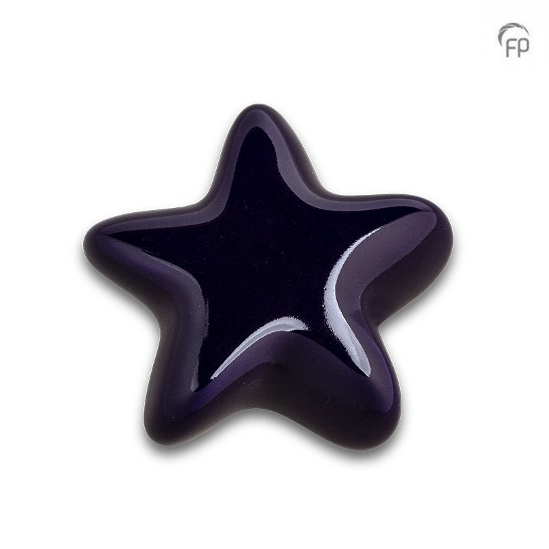 Ceramic Star Keepsake