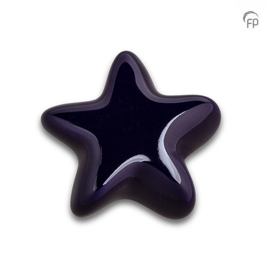 Ceramic Star Keepsake