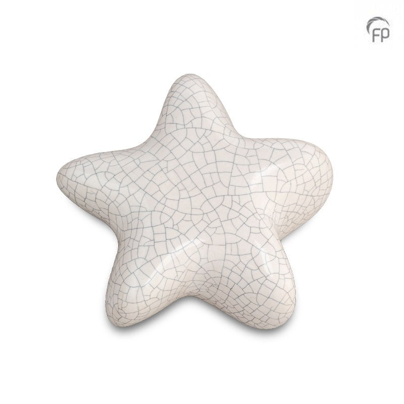 Ceramic Star Keepsake