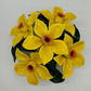 Daffodils