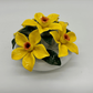Daffodils