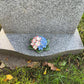 Ceramic Primrose / Forget Me Not Mix