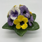 Pansie Cluster