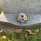 Pansie Cluster