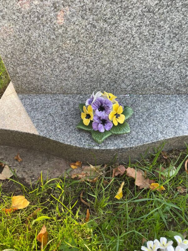 Pansie Cluster