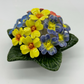 Polyanthus