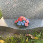 Polyanthus x Forget Me Not Mix