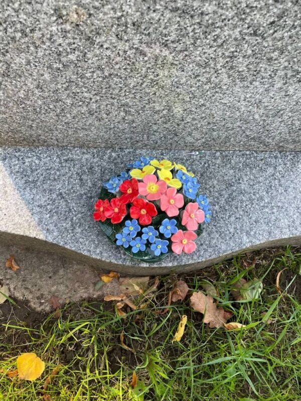 Polyanthus x Forget Me Not Mix