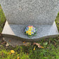 Polyanthus